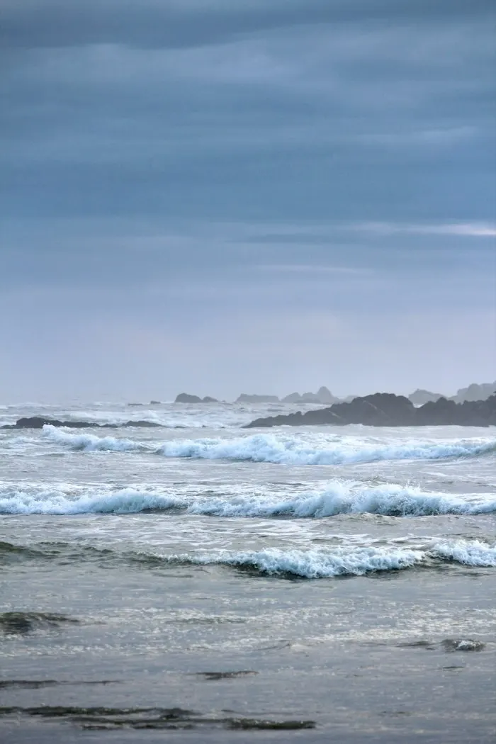 Placeholder: waves on a rocky, overcast coastline